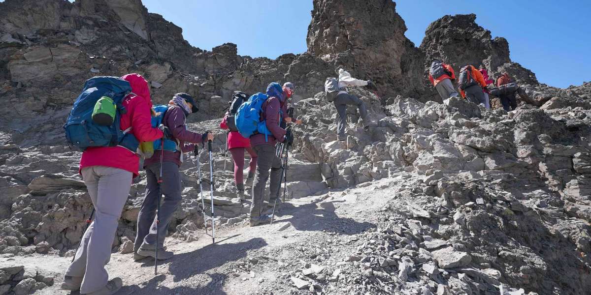 Exploring the Lemosho Route for Climbing Mount Kilimanjaro