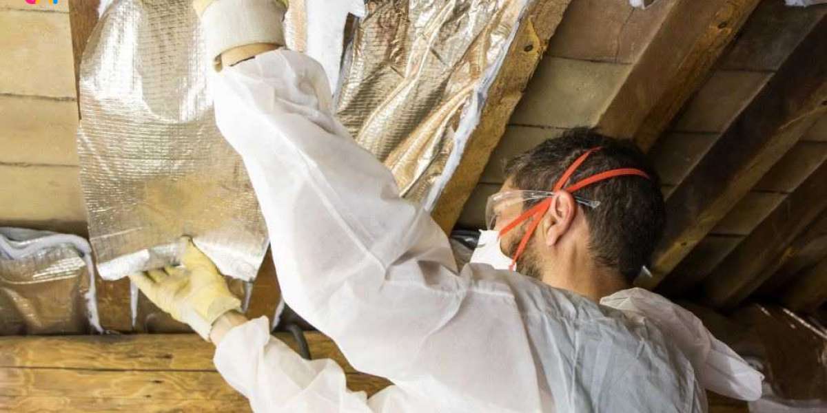 Insulation Contractor in Wolf Creek, OR vs. DIY: Which One Saves You More Money?