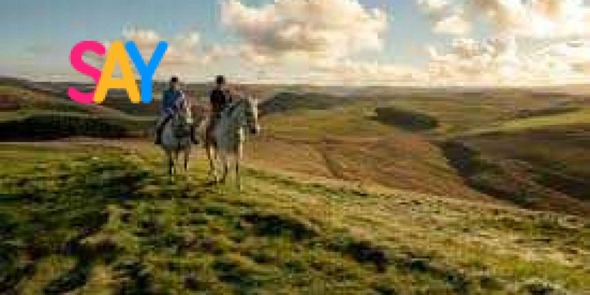 The Best Orkney Neolithic Tours with Skara Brae
