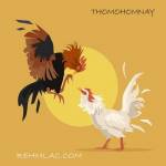 THOMO HÔM NAY Profile Picture