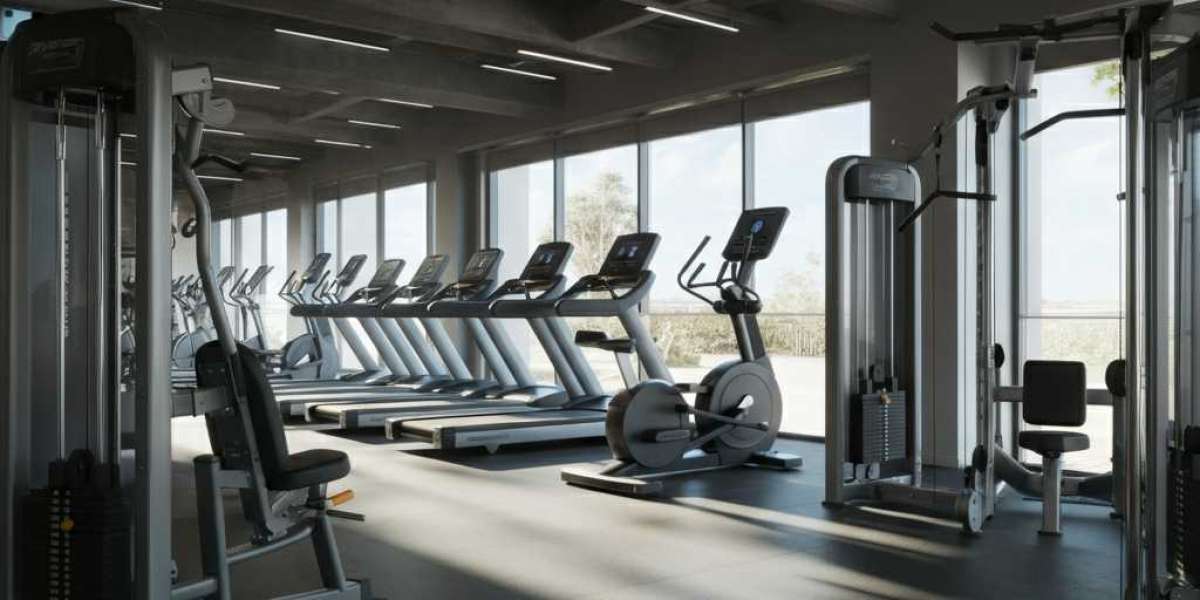 Gym Equipment Suppliers Australia: Expert Tips on Choosing the Right One