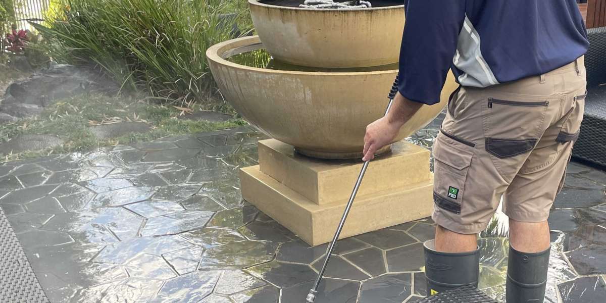 Wise Choices Offers Expert Softwash & Pressure Cleaning Services in Gold Coast
