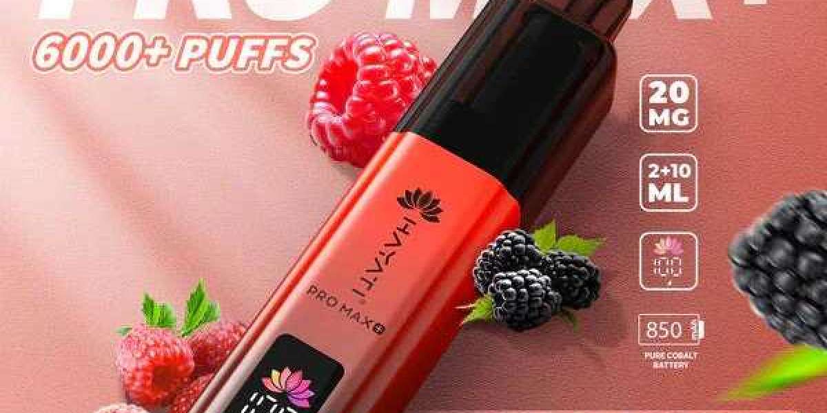 Smooth & Flavorful: My Experience with Hayati Pro Max Plus 6000