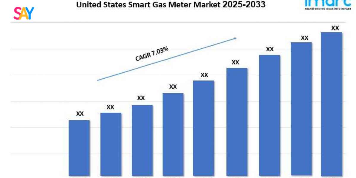 United States Smart Gas Meter Market Share, Industry Demand And Report 2025-2033