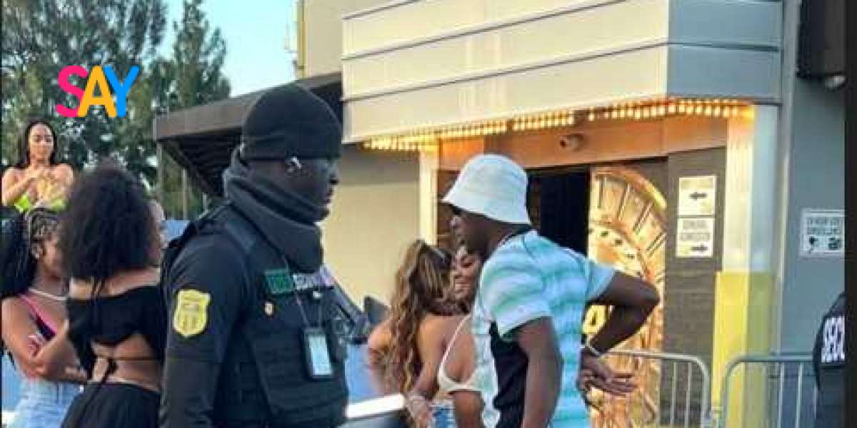 Hire a Bodyguard