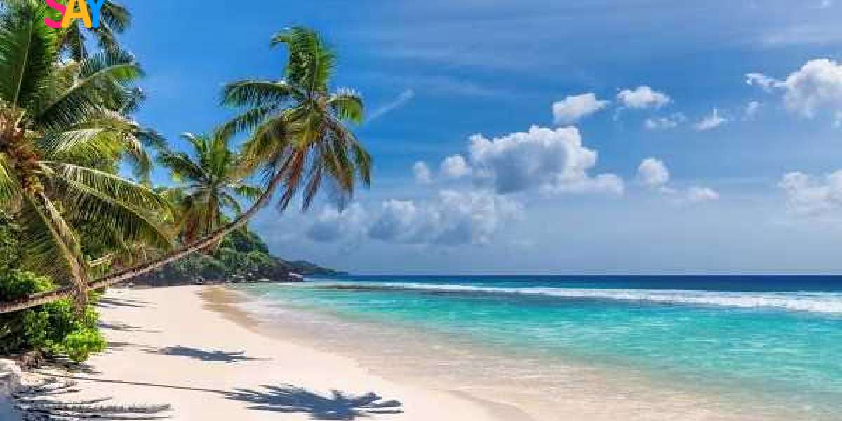 Acvariul Mare din Hurghada: O incursiune spectaculoasă în lumea subacvatică a Mării Roșii