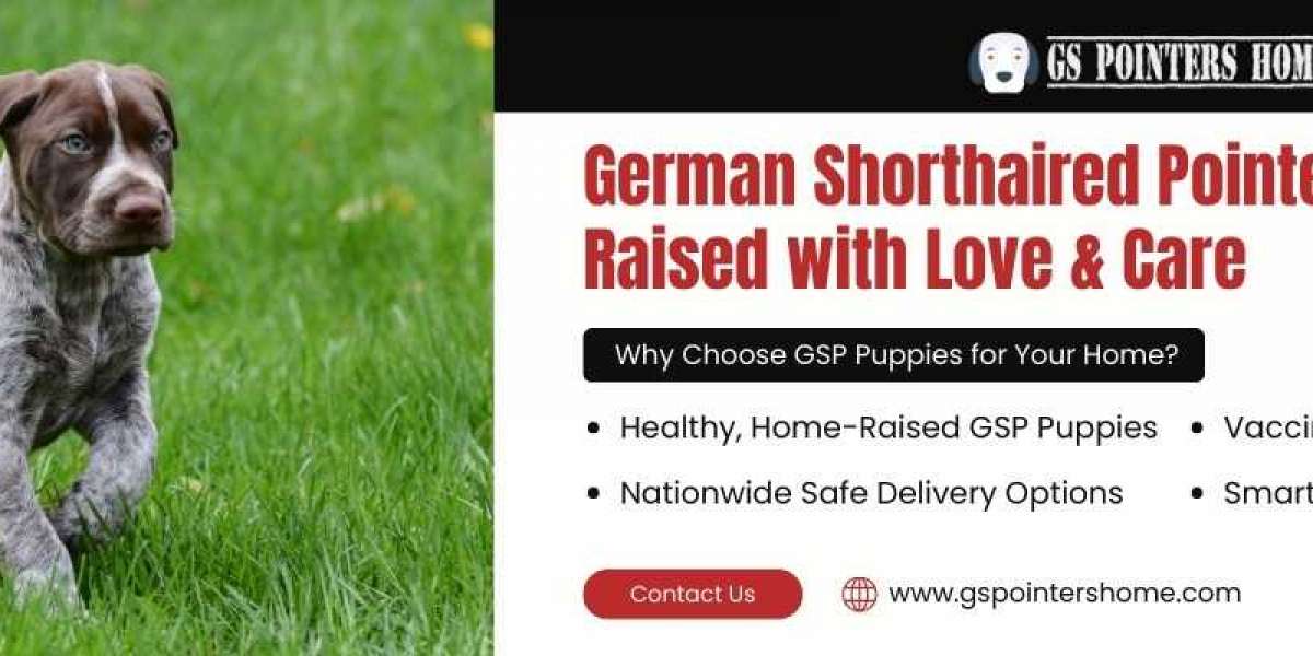 German Shorthaired Pointer Puppies Near Me: Find Your Perfect Companion with German Shorthaired Poin
