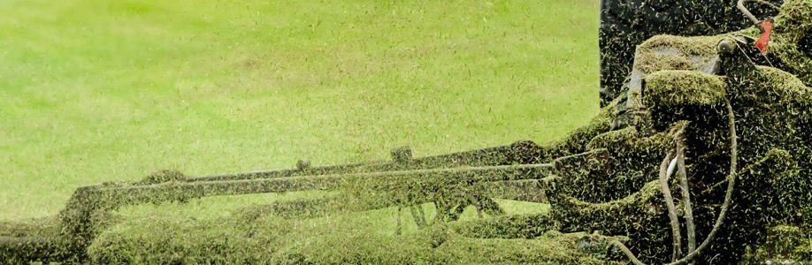 Sherratt Group Ltd Cover Image