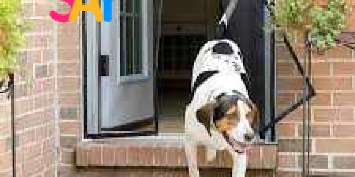 Magnetic Porch Screen: The Perfect Solution for a Bug-Free, Breezy Porch