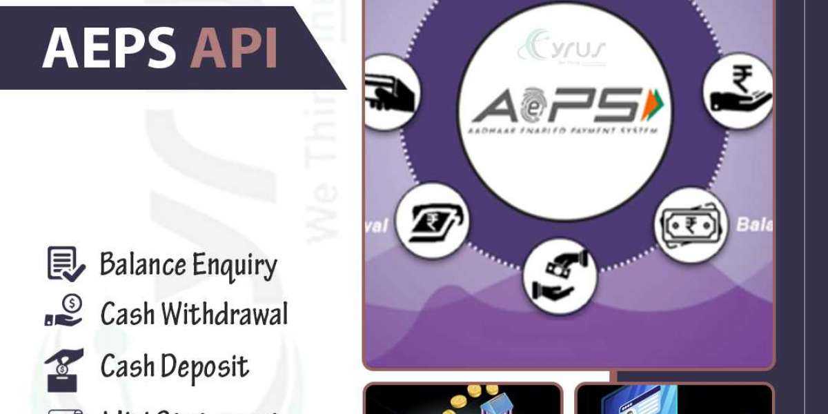 Unlock Financial Insights: Choosing the Right Credit Score API in India