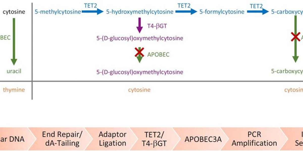 A New Detection Approach for DNA Methylation