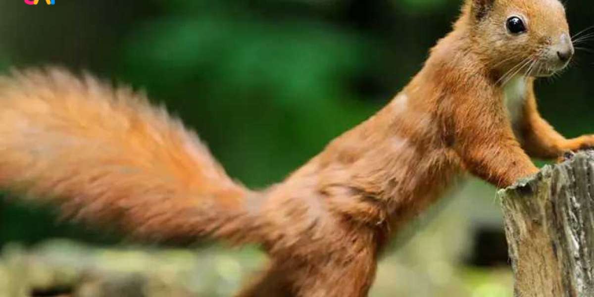 Trusted Pest & Wildlife Services in Aurora and Richmond Hill