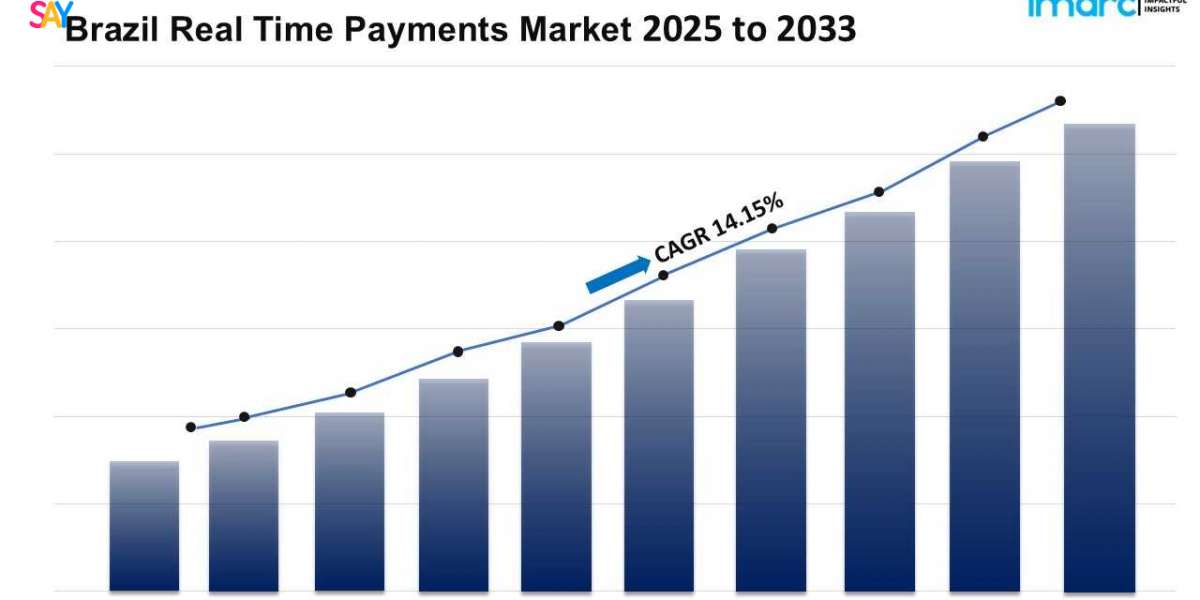 Brazil’s Digital Payment Revolution: Real-Time Payments Market Analysis 2025-2033