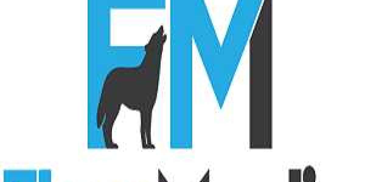 Maximizing Digital Growth with Flow Media: The Leading Google Ads Agency in Auckland