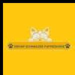 dreamschanuzerpuppieshome Profile Picture