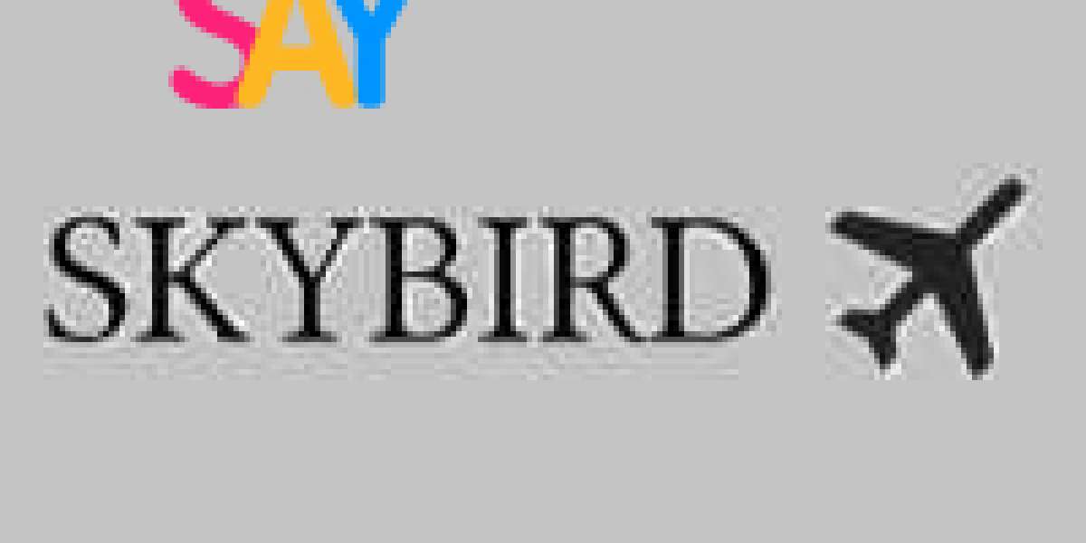 Skybirdsupply: Discover the Art of Flight with a Custom Map of MCI Airport