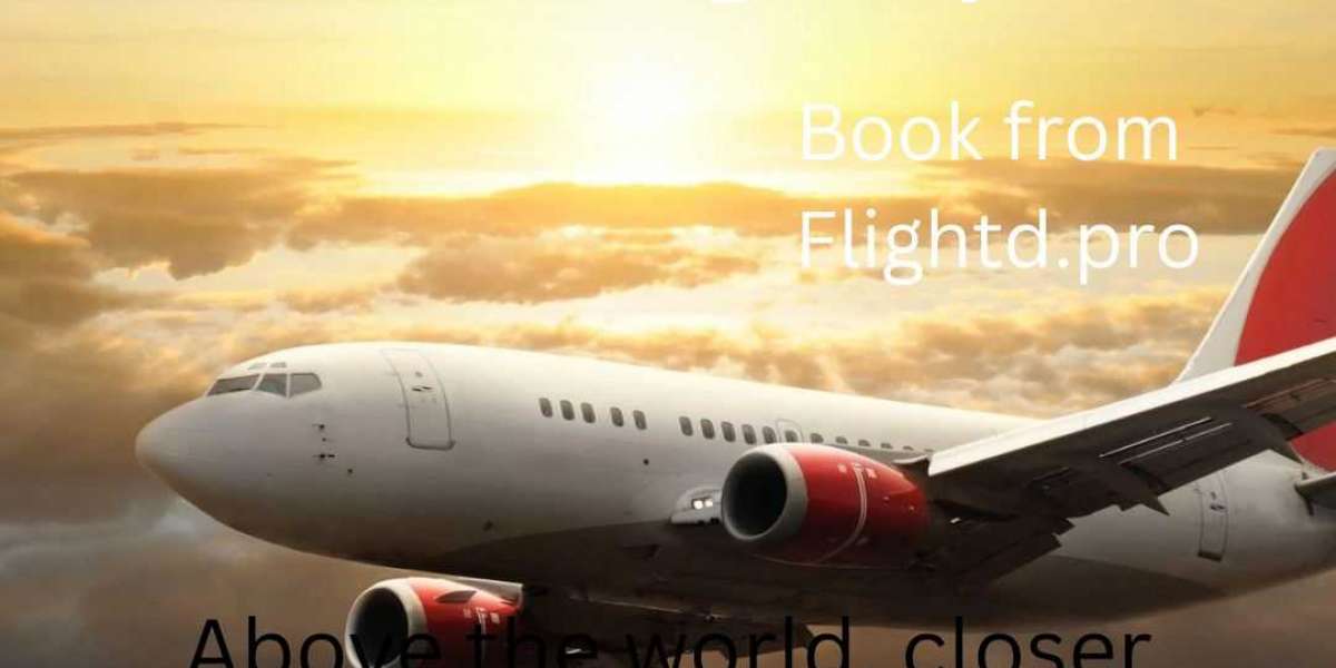 Flightd: Exploring the World of Flightd – Types, Characteristics, and Travel Experience