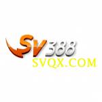 SV388 Profile Picture