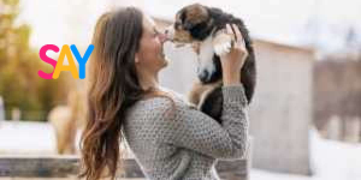 Find Your Perfect Pup with Dream Schnauzer Puppies Home The Best Place for Online Dogs for Sale