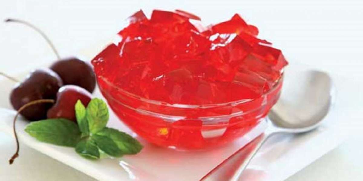 Gelatin Manufacturing Plant Cost and Setup Report 2025: Project Details and Investment Opportunities