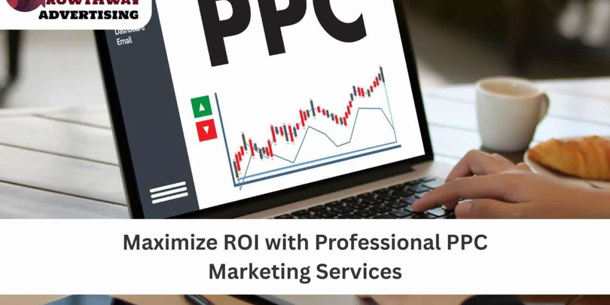 Maximize ROI with Professional PPC Marketing Services
