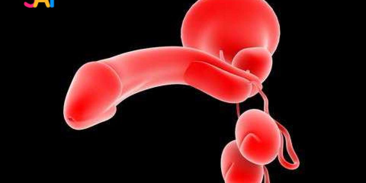 Which food is best for pennis growth?