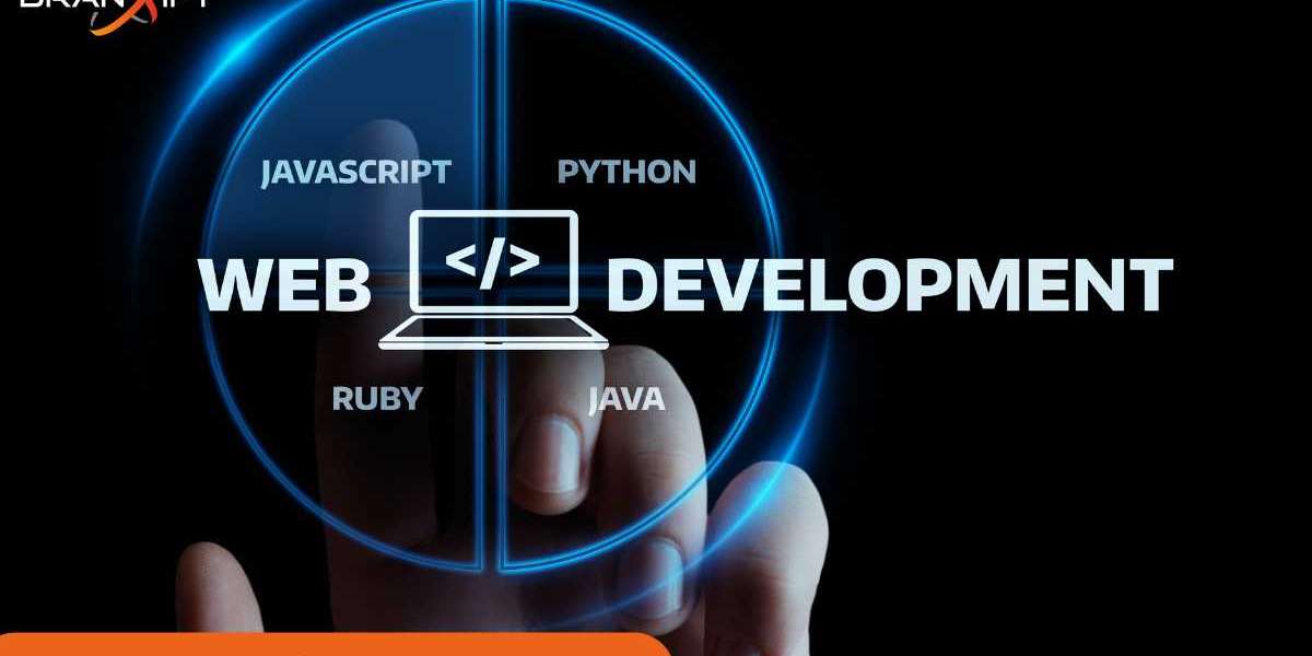 Why Choose Custom Website Development for Your Indianapolis Brand?