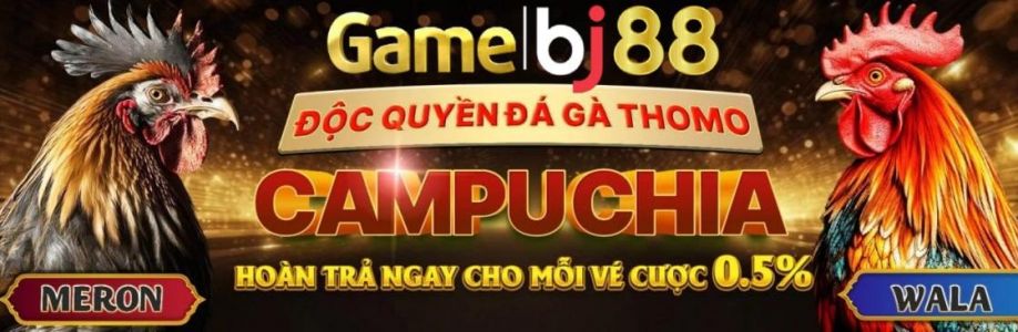 BJ38 zone Cover Image