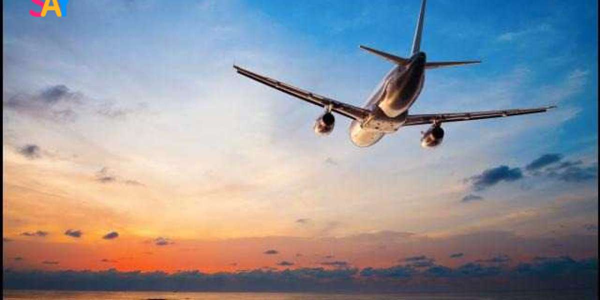 Build Your Own Travel Brand with a White Label Travel Platform