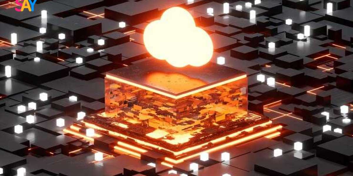 Sustainable Software: Open Source Licensing and Monetization