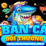 Ban ca doi thuong Profile Picture
