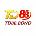 TD88 Profile Picture