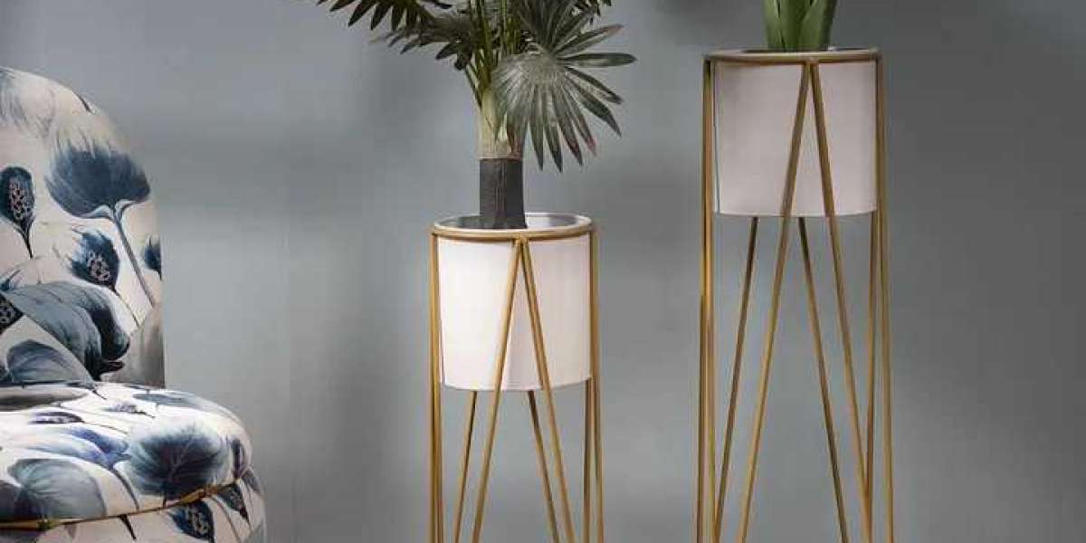 Bring Home Freshness with Decorative Indoor Flower Pots