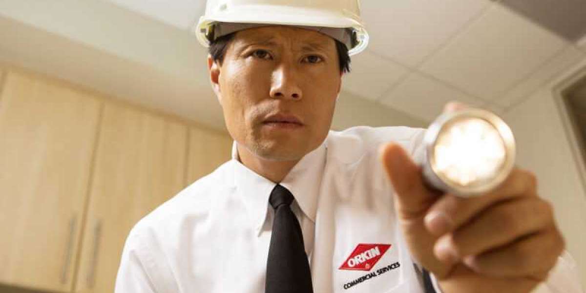 Your Ultimate Solution for Pest Control in Pickering, Ontario
