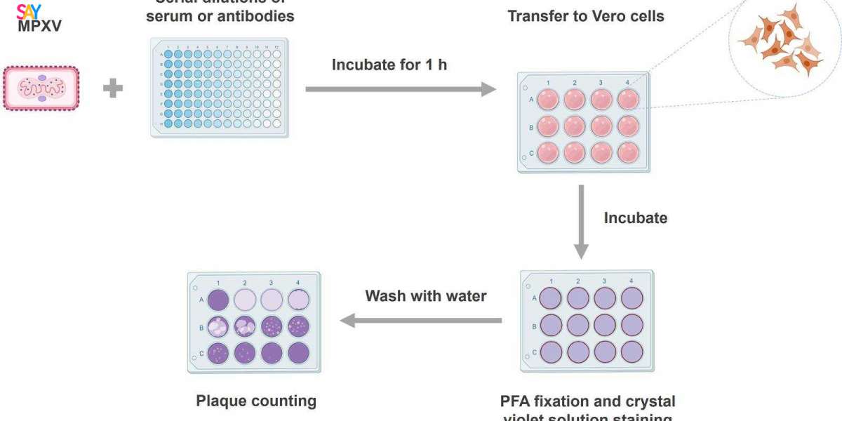 Monkeypox Virus Neutralizing Antibody Test Services to Aid in Immune Response Assessment