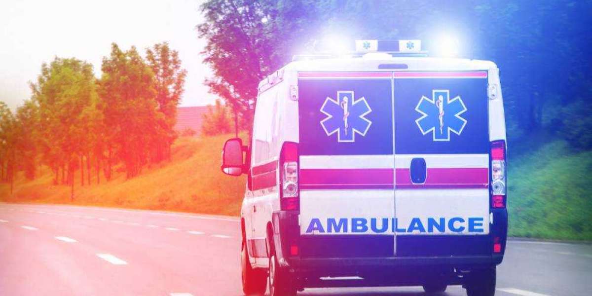 Ambulance Services Market Share, Size, Demand and Forecast 2025-2033