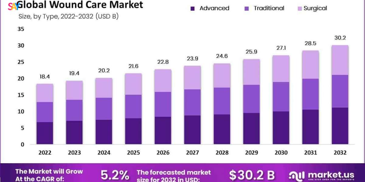Wound Care Market Talent Development, Training, and Clinical Expertise 2024–2033