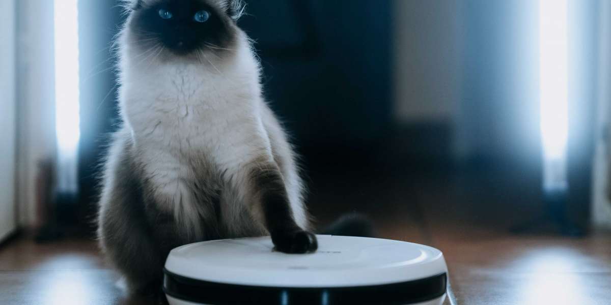Who Is Responsible For The Best Robovac Budget? 12 Ways To Spend Your Money