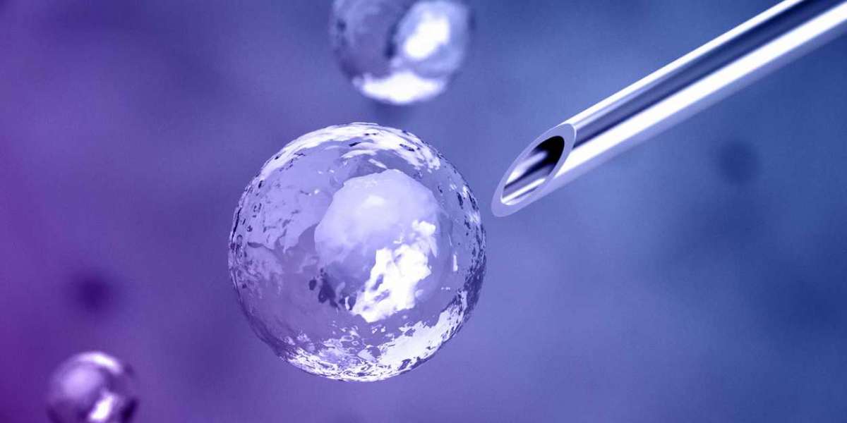 The Future of Client Acquisition: Law Firm Lead Generation Services Explained