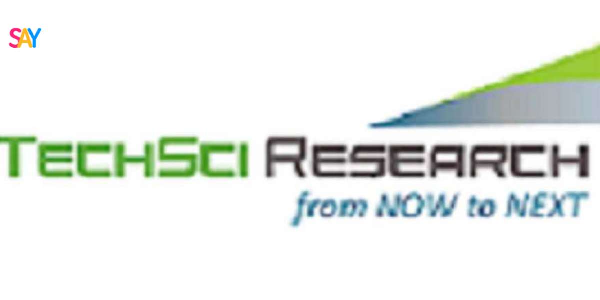 Turkey Air Purifier Market Size Projection: How Big Will It Be by 2030F?