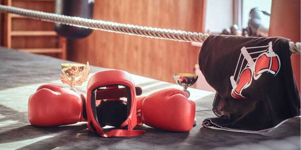 Train Smarter and Safer with High-Quality Body Protectors from Fight Shop HTX