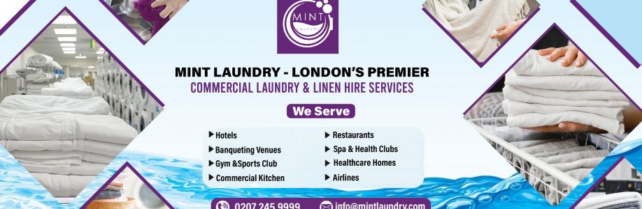 Mint Laundry Cover Image