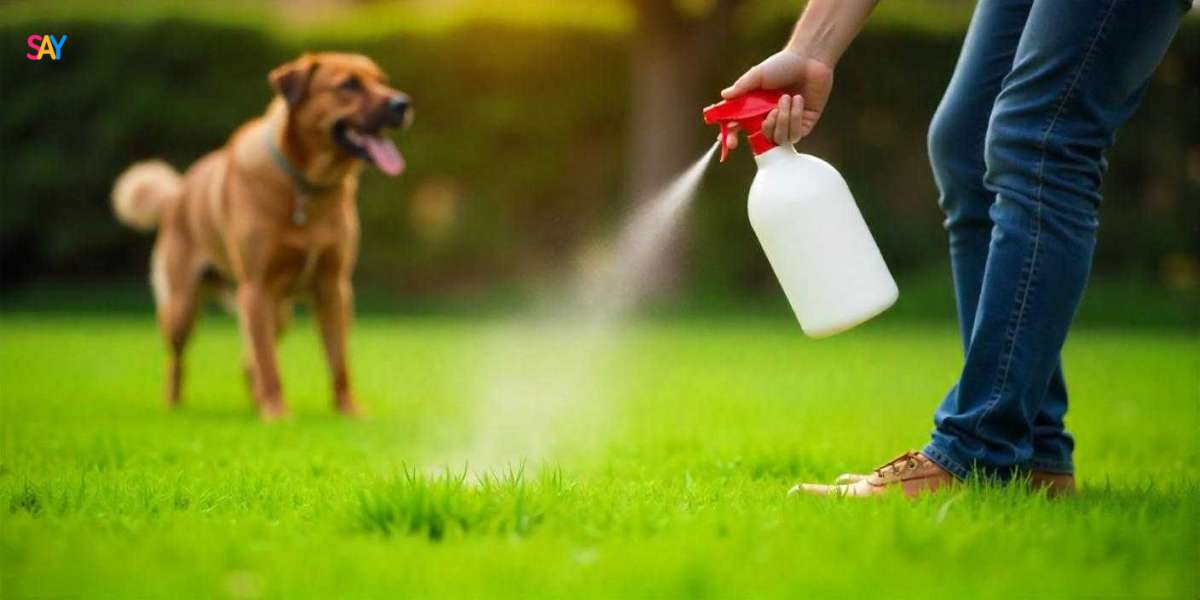 Can You Clean Turf With Vinegar? Full Guide Inside