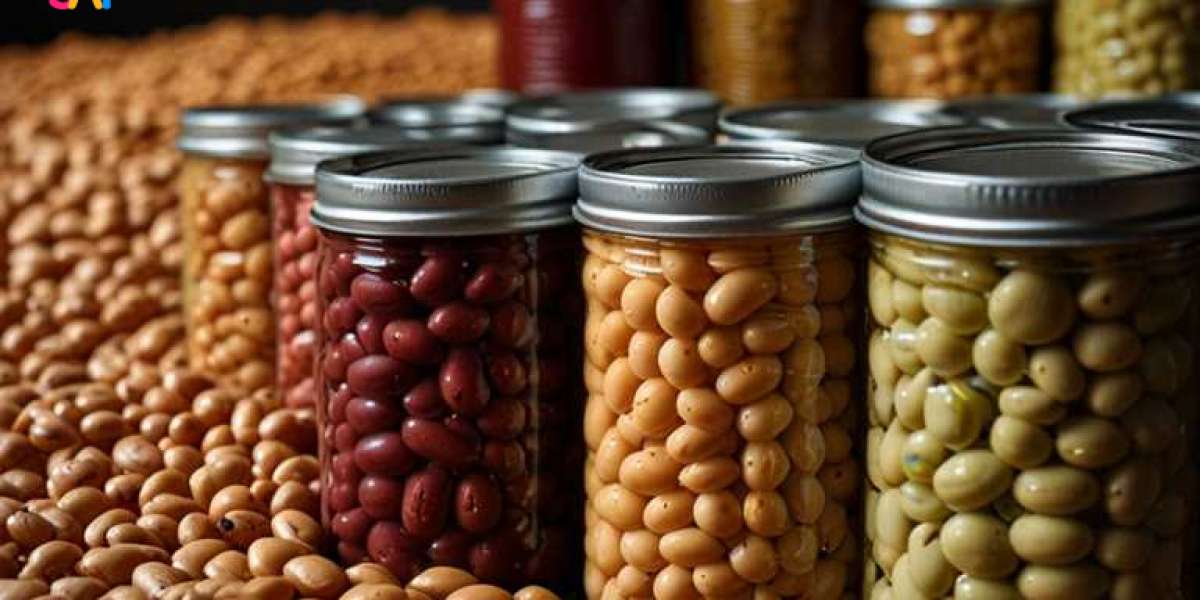 Canned Beans Manufacturing Plant Project Report 2025: Machinery, Raw Materials and Investment Opportunities