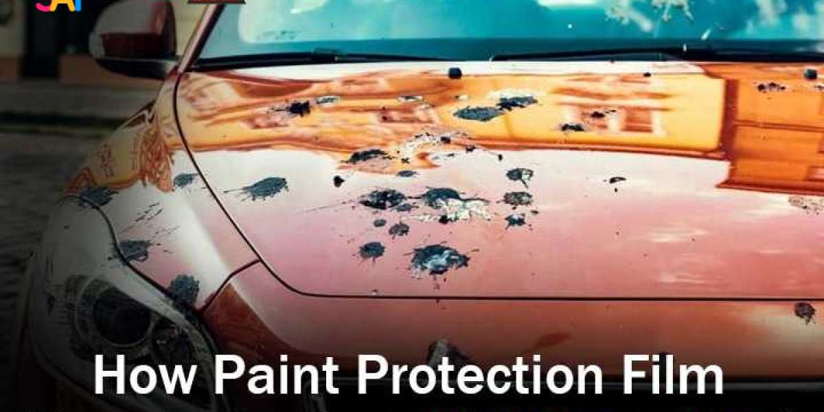 Shield Car from Bird Droppings with Paint Protection Film