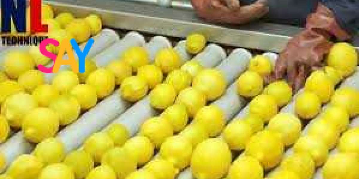 Lemon Processing Plant Project Report 2025: Setup Cost, Machinery Requirements and Raw Materials