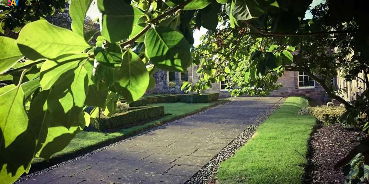 Transform Your Outdoors with Expert Garden Design and Maintenance Services