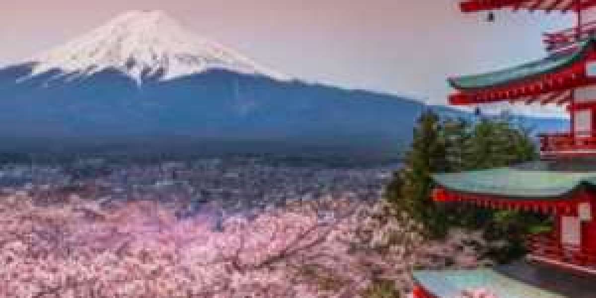 Tokyo Splendors to Fuji Wonders: Unveiling Japan with Grand Tours