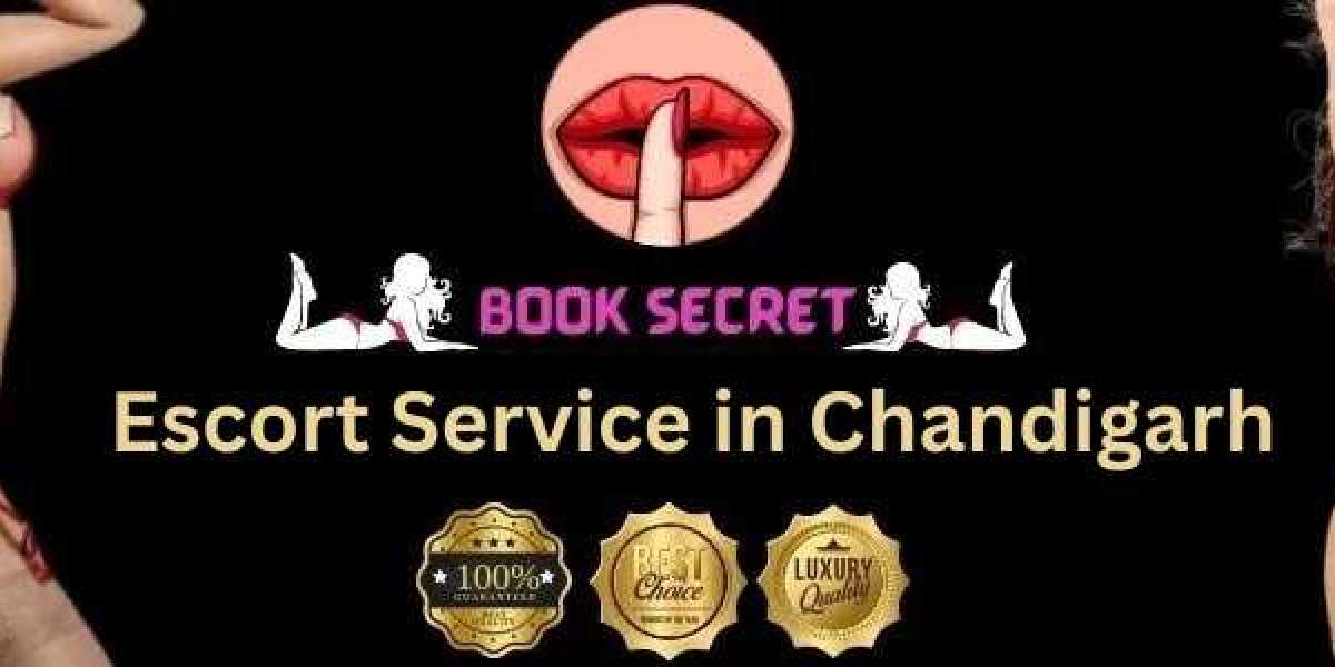 Top Escort Service Chandigarh | XDates