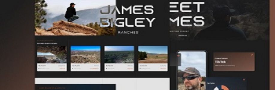 bridgeweb99 Cover Image